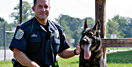 K-9 Officer